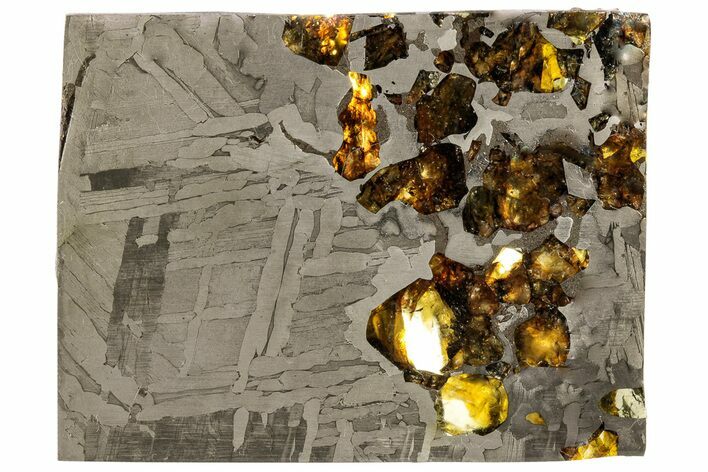 Seymchan Pallasite Meteorite Slice ( g) - Russia #305576